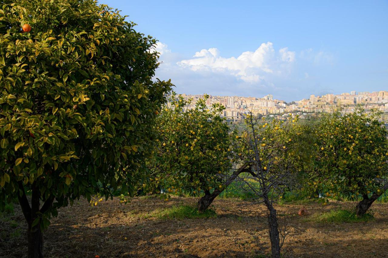 Villa Caterina Agrigento Exteriör bild